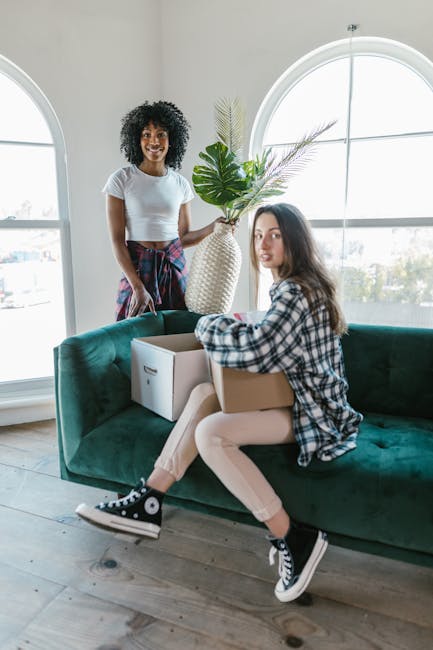 A woman with long brown hair, dressed in a black and white plaid shirt and white trousers, sits on a dark green velvet sofa holding an open cardboard box. Beside her, a woman with curly black hair, we